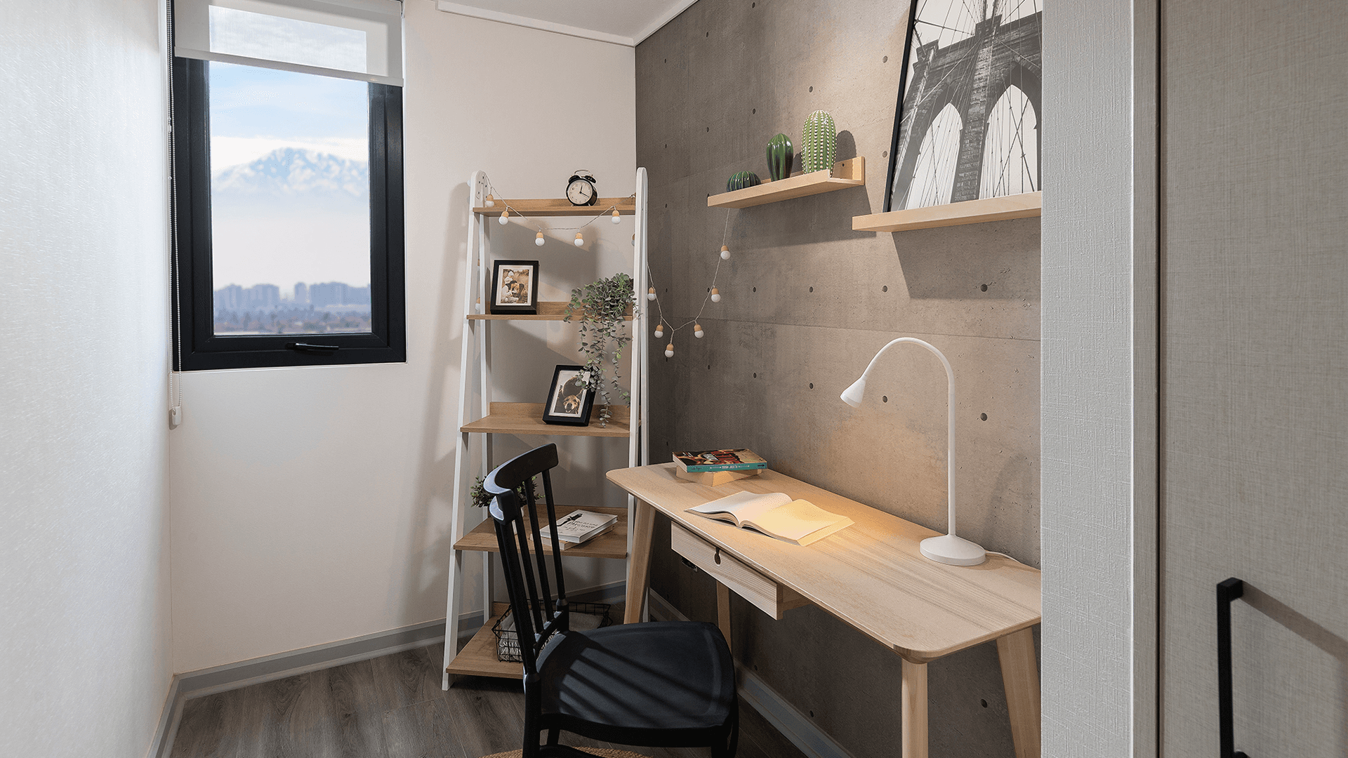 Imagen de la galeria en posicion 10