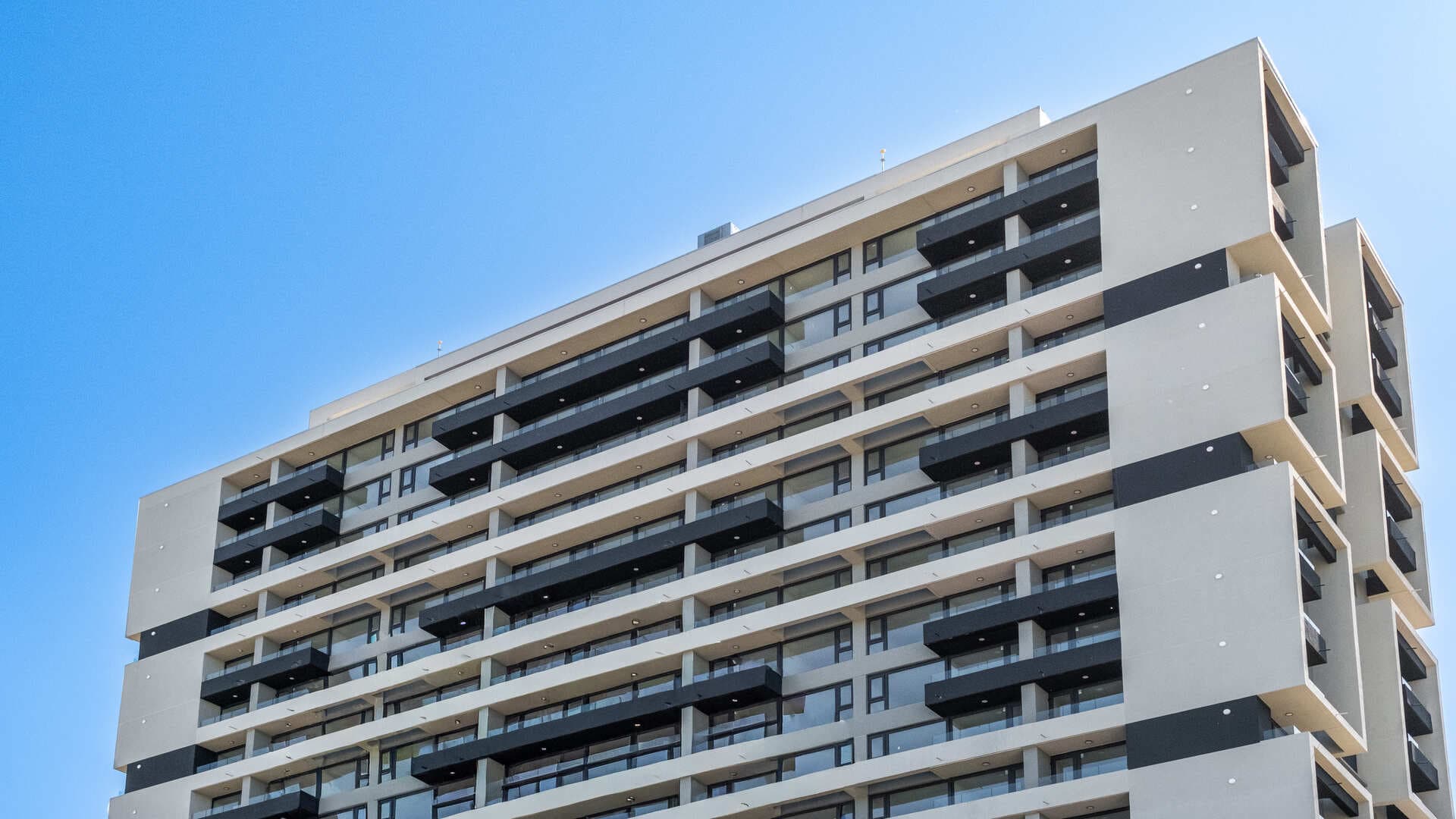 Imagen de la galeria en posicion 18