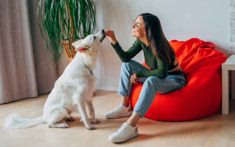 cuidar-departamento-con-mascota